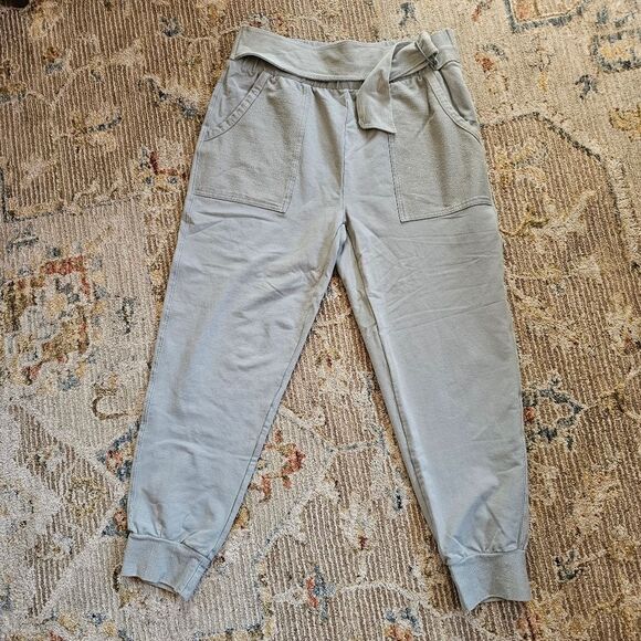 Anthropologie Saturday Sunday Sydney Waisted Joggers Pants size small - Picture 6 of 8